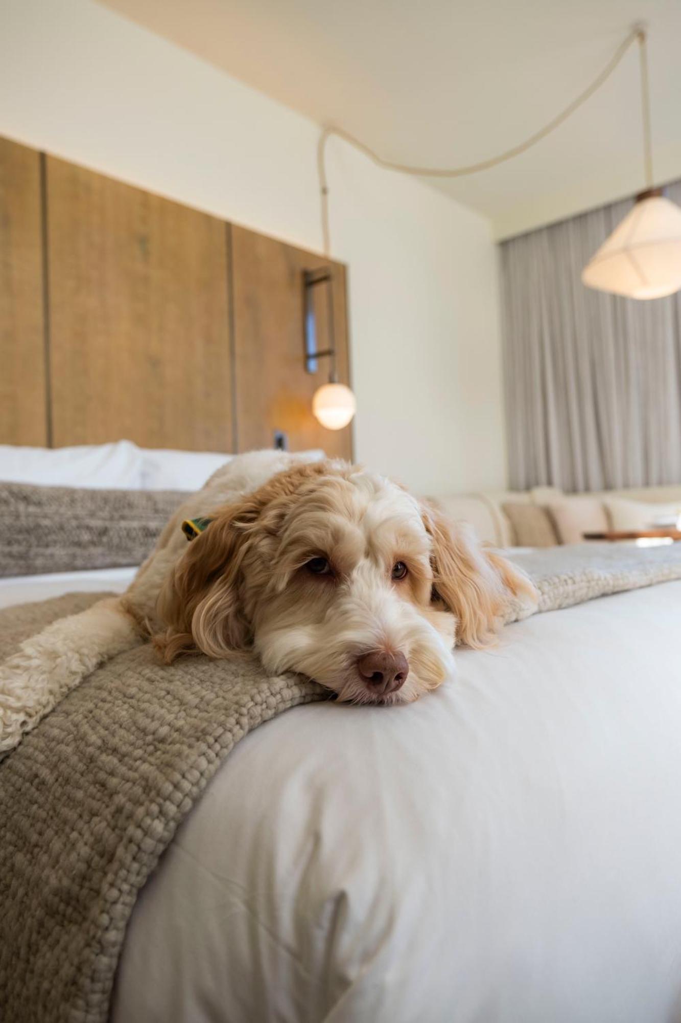 1 Hotel Seattle Bagian luar foto