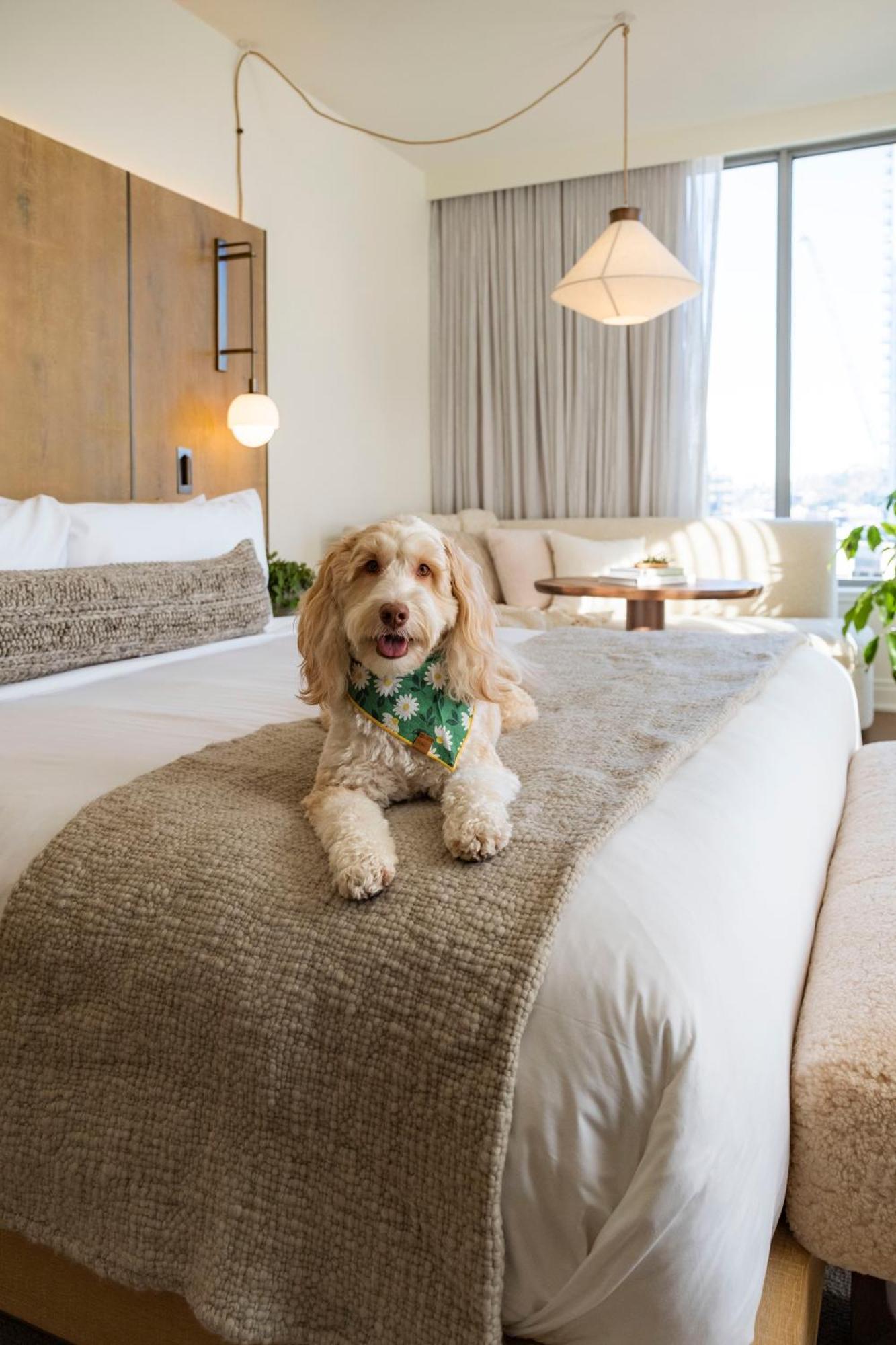 1 Hotel Seattle Bagian luar foto